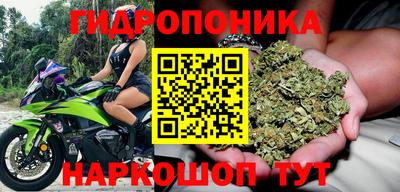 гидра Беслан