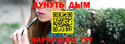 гидра Беслан